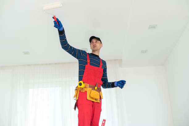 Best Water-Damaged Drywall Repair  in Logan, OH